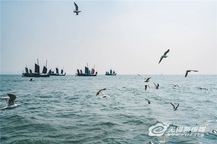 以“綠”為底 山水生“金”，無錫鐵腕“治太”“繡”出生態新城