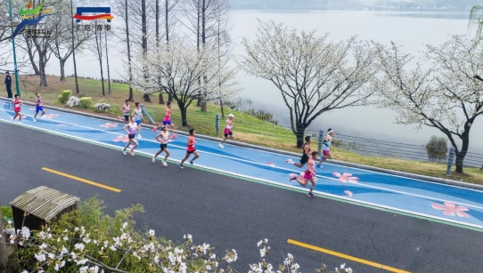 錫馬將至，市民觀賽指南來了！